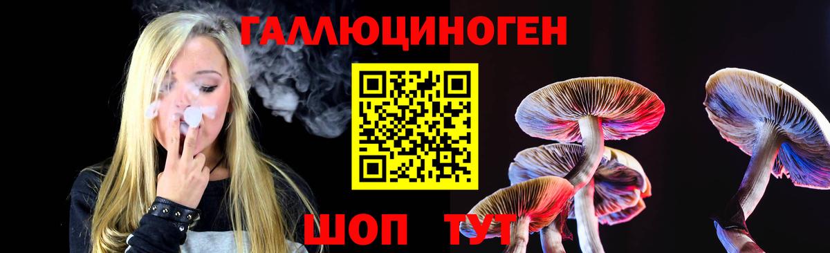 Галлюциногенные грибы GOLDEN TEACHER Переславль-Залесский