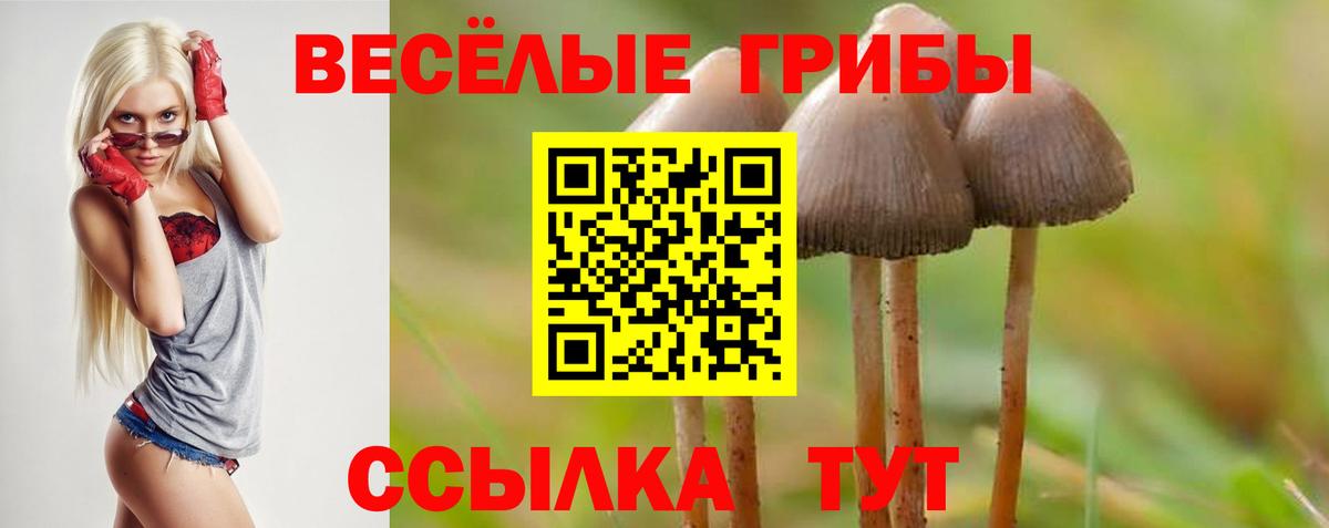 Переславль-Залесский  Псилоцибиновые грибы MAGIC MUSHROOMS  Галлюциногенные грибы Cubensis  сколько стоит  Вход с VPN 